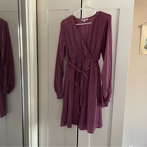 Motherhood Long Sleeve Maternity Plum Dress